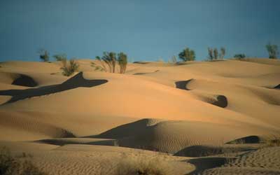 Bildergalerie-Sahara