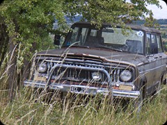 Wagoneer