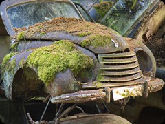 Autofriedhof Båstnäs
mehr Bilder in der Galery...