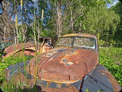 Autofriedhof Båstnäs
mehr Bilder in der Galery...