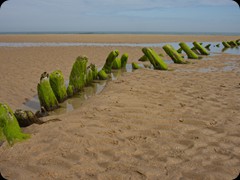 Wreck near Bamburgh Castle