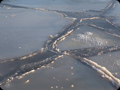 Eis