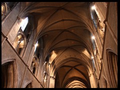  St. Patrick’s Cathedral