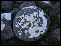 Stone