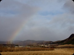 Regenbogen