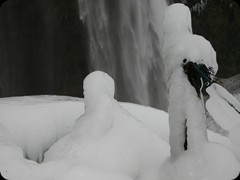 Seljalandsfoss
