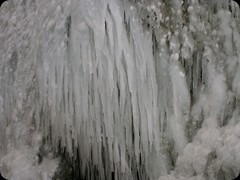 Seljalandsfoss