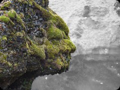 Kopf am Skógafoss