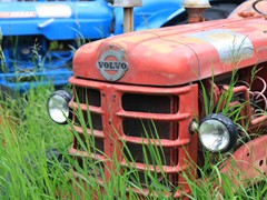 IMG_4947