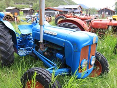 IMG_4950