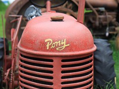 IMG_4954