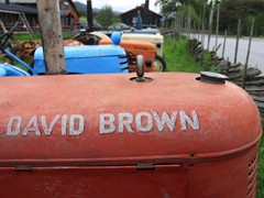 IMG_5005