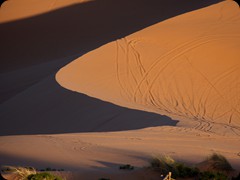Coral Pink Sand Dunes State Park