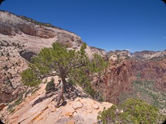 Angels Landing