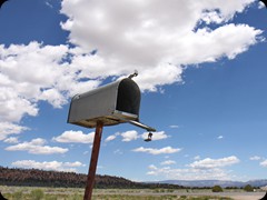 U.S. Letterbox