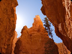 Bryce Canyon