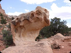Capitol Reef