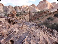 Capitol Reef