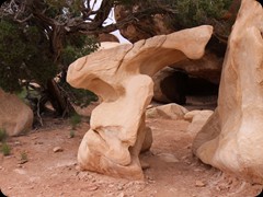  Canyonlands Nationalpark