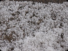 Graupelschauer auf dem Weg nach Moab