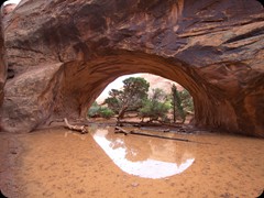 Navajo Arch
