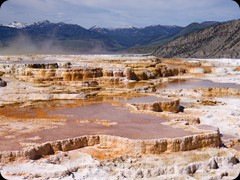 Sinterterassen von Mammoth Hot Springs