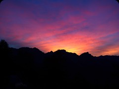 IMG_6510