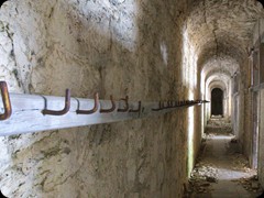 IMG_6869