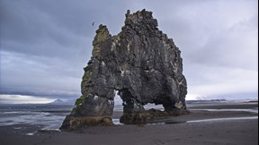 Hvitserkur bei Ebbe