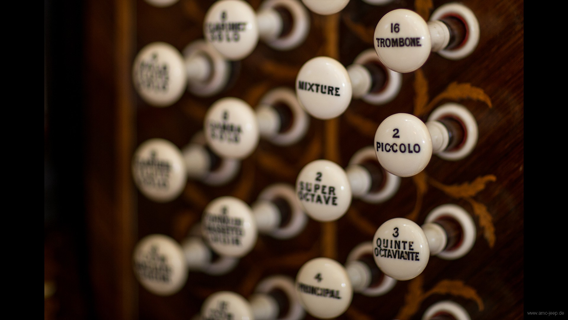 Orgel