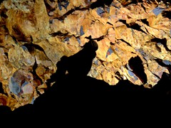 Inside The Volcalo