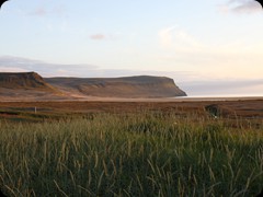 Látrabjarg