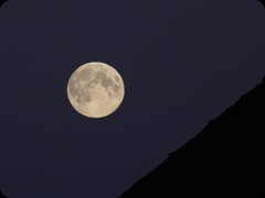 Vollmond