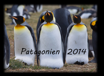 Patagonia 2014